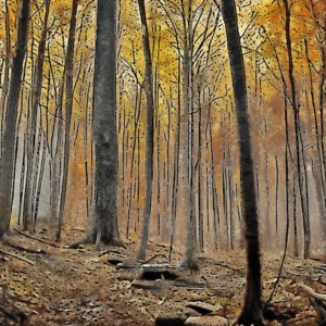 Read more about the article “indiana’s top 2 ghostly hotspots crowned: a spine-chilling journey a