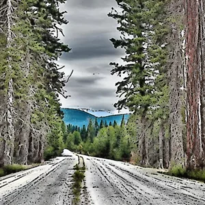 Read more about the article Montana Ghosts Wanted : Which Haunted Location Should We Explore ?