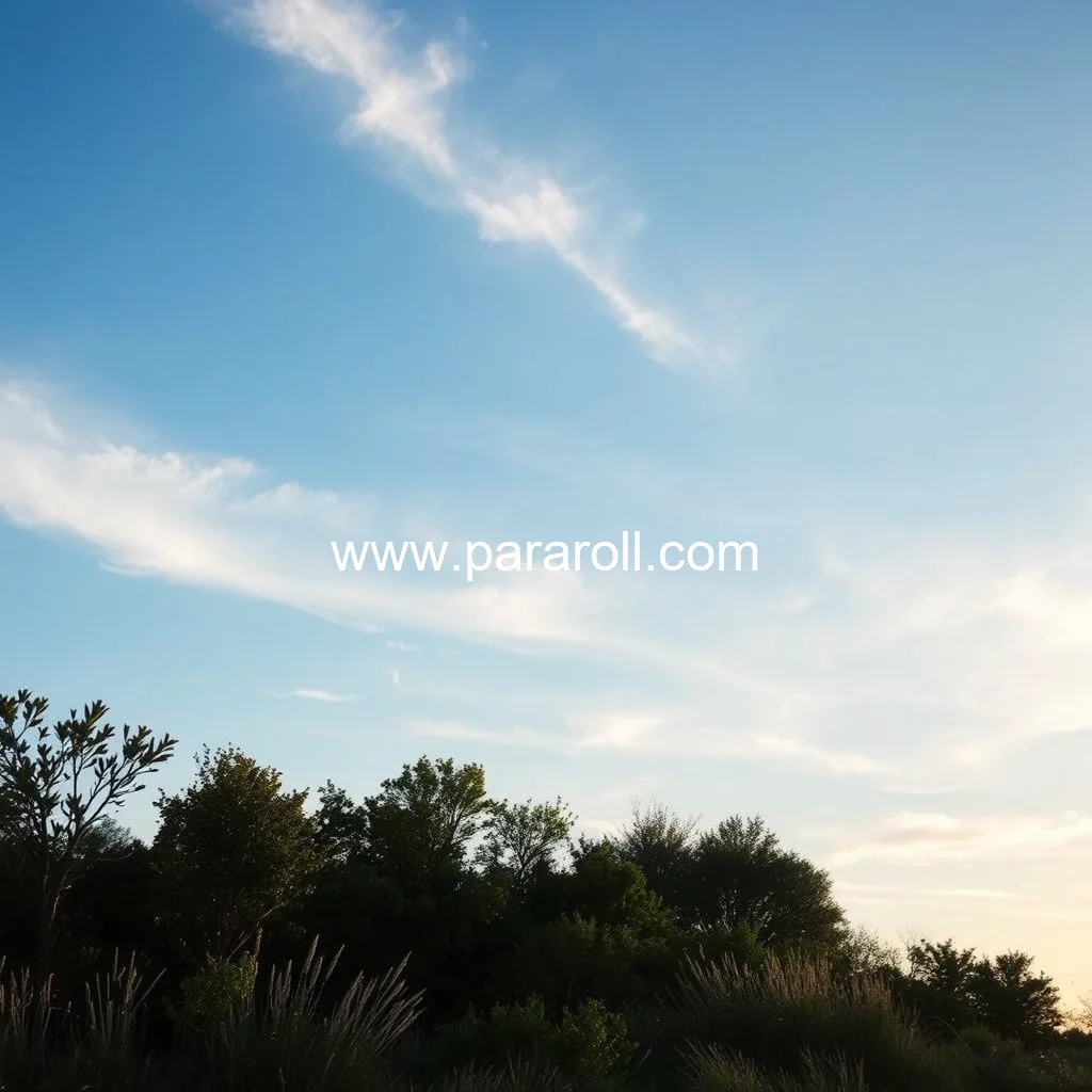 Read more about the article Dare to discover: texas’s most